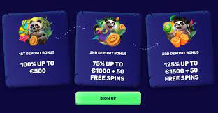 Spinanga Online Casino Site Testimonial