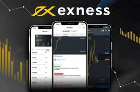 Understanding Exness Micro Accounts A Beginner's Guide Understanding Exness Micro Accounts A Beginner's Guide