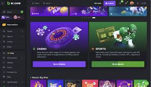 Explore the Thrills of BC.Game Play Casino