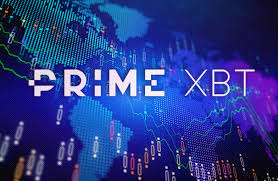 Exploring the Capabilities of PrimeXBT Platform