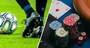 The Future of Online Betting Insights into 199bet